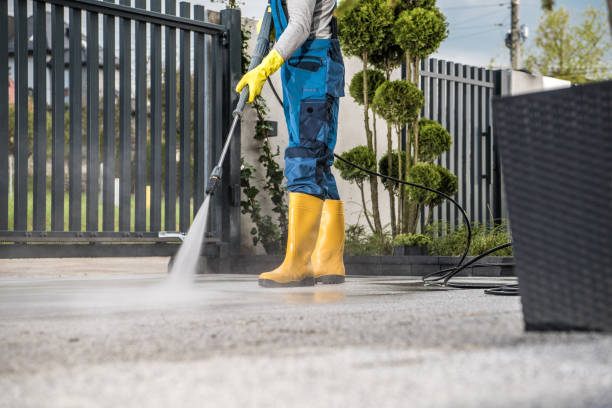Best Gutter Cleaning and Brightening in Meridian, TX