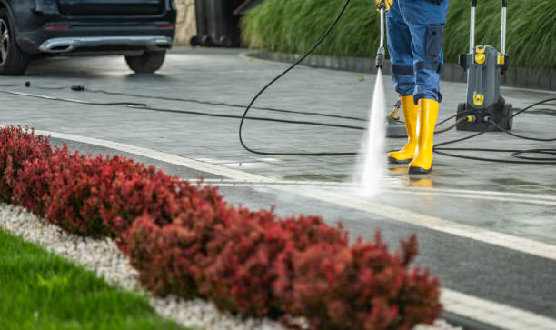 Best Soft Washing for Delicate Surfaces in Meridian, TX